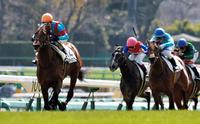 ５Ｒ、逃げ切ってＶのマルターズアポジー＝中山競馬場（撮影・田村亮介）