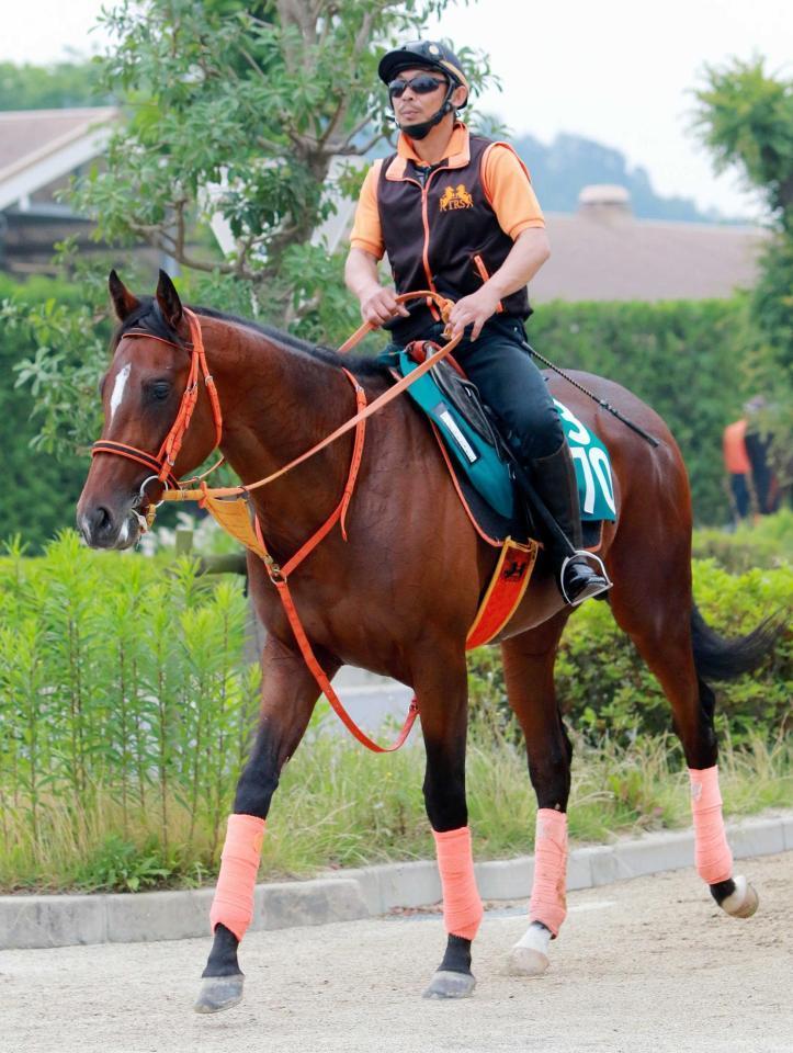 　運動する良血馬ポルトフォイユ