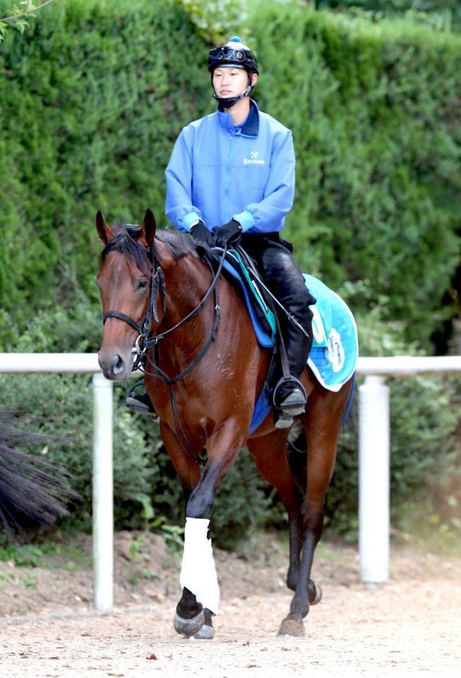 　今週デビューする良血馬レヴィンインパクト