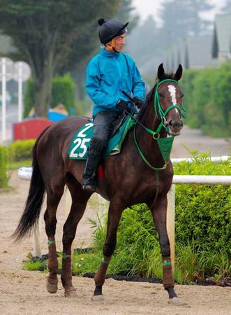 　運動するカイザーバル。母はＧ１２勝馬ダンスインザムードだ