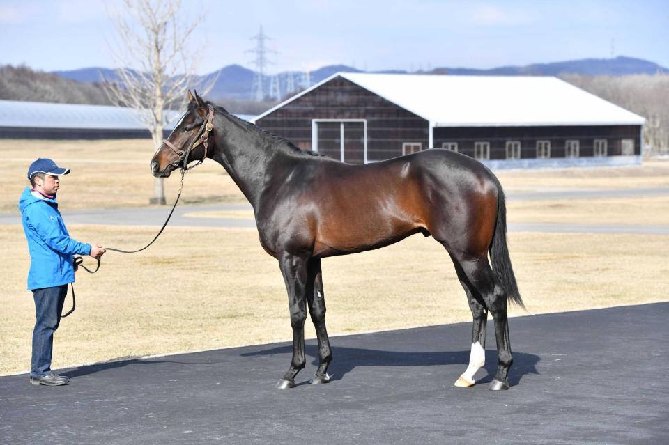 　絶賛されたバイキングクラップ