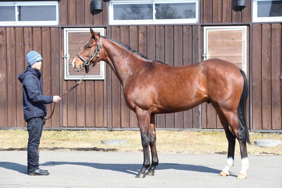 　募集価格最高値のファルコニア