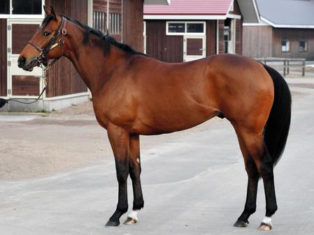 シルヴァースカヤ15