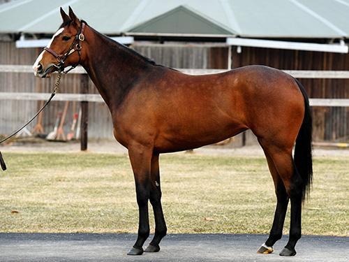 リッスン15/ディープインパクト2/競馬・レース/デイリースポーツ online