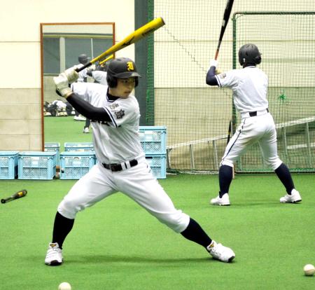 　打撃練習を行う主砲・岡本（左）ら池田ナイン