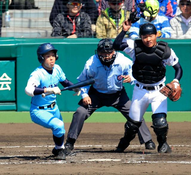 近江・伊東 ミャンマーで知ったこと/高校野球/デイリースポーツ online