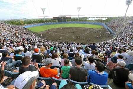 　大阪桐蔭対履正社の試合を観戦しようと、超満員のファンで埋め尽くされた