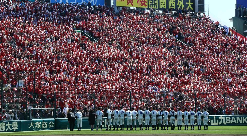 　初戦敗退したが健闘したナインをたたえる小豆島の応援団
