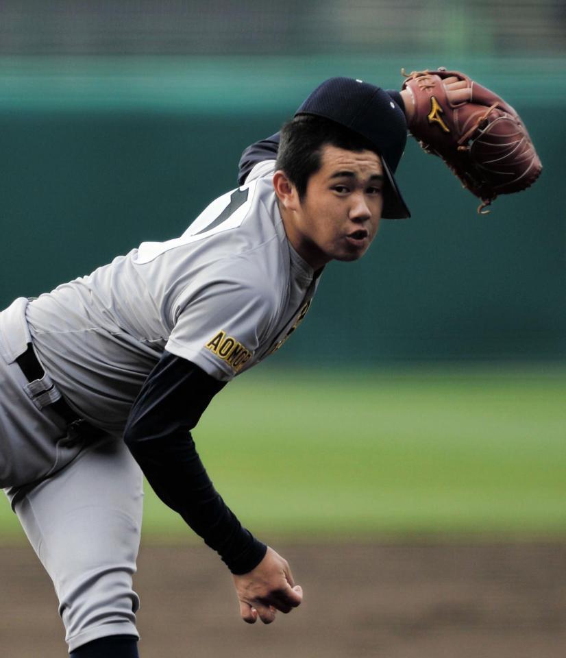 　敦賀気比打線相手に力投する青森山田・堀岡（撮影・佐々木彰尚）