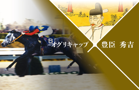 信長、家康とくれば秀吉は？そうなると秀吉はグラスワンダーかオグリキャップあたりでしょうか