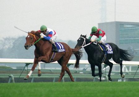 デビューから３戦ノーステッキ