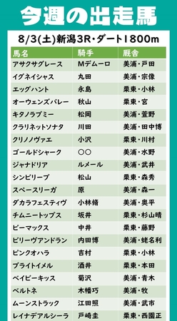 ■今週の出走馬情報