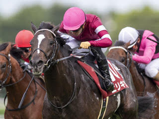 【PR】菊花賞３連単よりお得な馬券とは？