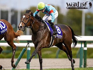 【PR】【皐月賞】狙うべき穴馬とは？