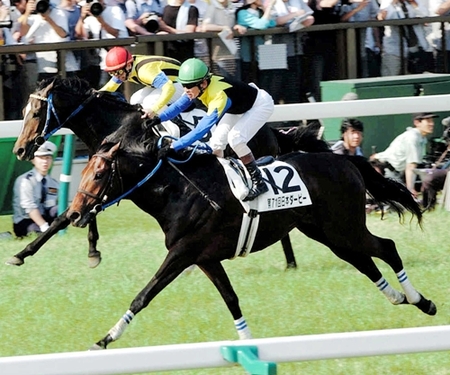 ２００４年【キングカメハメハ世代】４０代・刀根善郎 記者