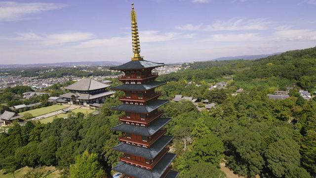 奈良大仏の横「幻の七重塔」謎を解明/関西/芸能/デイリースポーツ online