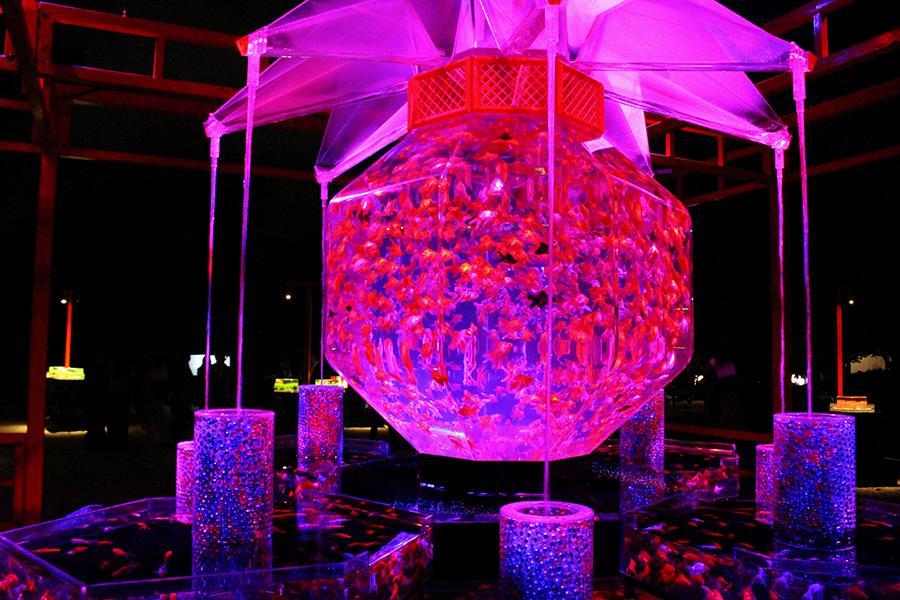 アートアクアリウムが開幕 夜の二条城に８０００匹の金魚が舞い泳ぐ 関西 芸能 デイリースポーツ Online