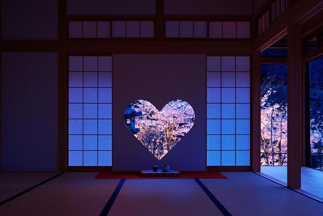 ハートの窓からお花見 京都の正寿院にて初の夜桜ライトアップ 関西 芸能 デイリースポーツ Online ハートの窓からお花見 京都の正寿院にて初の夜桜ライトアップ 関西 芸能 デイリースポーツ Online