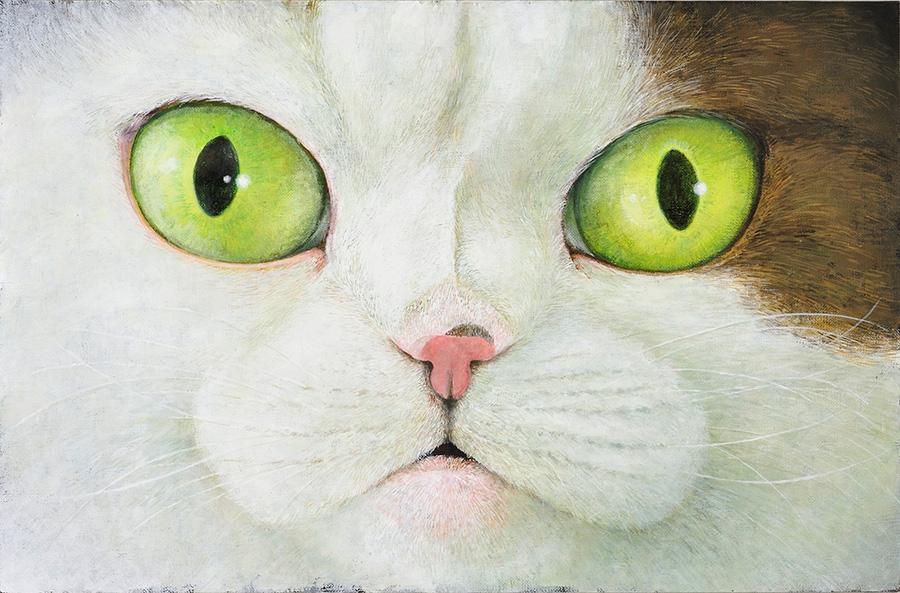 　町田尚子「ネコヅメのよる」