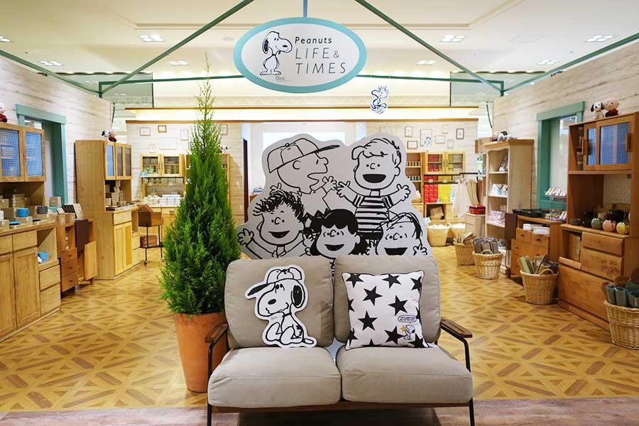 キッチン、バス、文房具などエリアに分けてアイテムをディスプレー