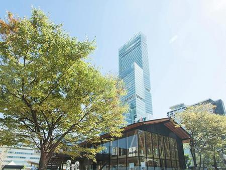 地上３００ｍもの高さを誇る日本一高いビル「あべのハルカス」。
