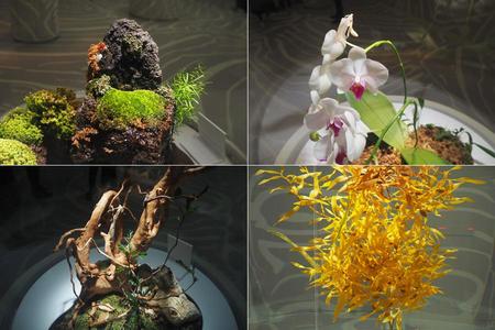 どこに生きものが隠れている？（写真には全部で７匹の生きもの）