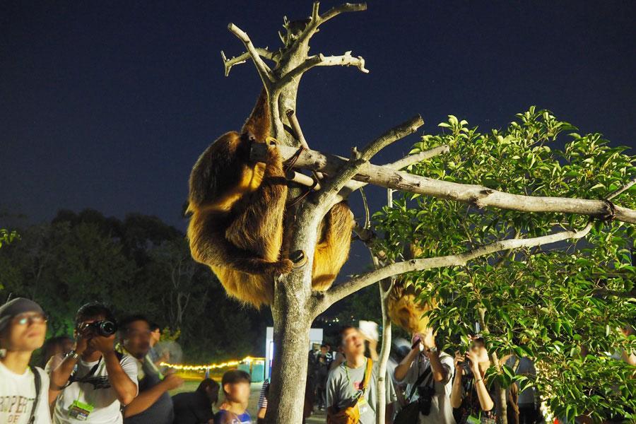 　毎年大勢の人が足を運ぶナイトズーをはじめ、イルカショーやヒーローショーなど地元ファンは多い「みさき公園」