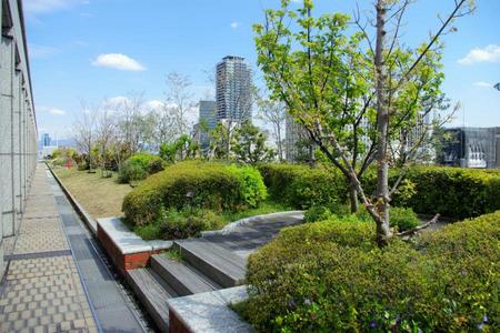 淀屋橋や北浜、遠くは大阪城を眺められる大阪市役所本庁舎屋上の南ブロック（１２日）