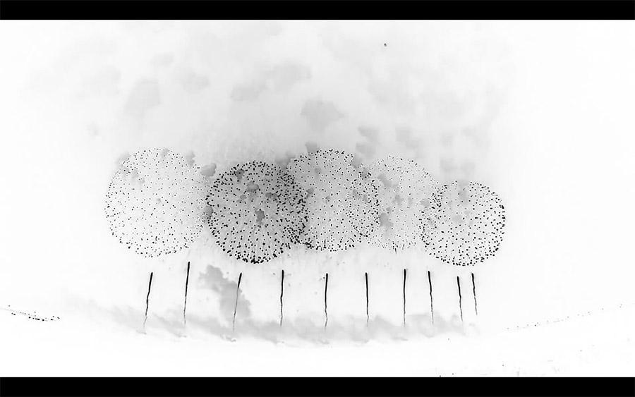 ピョトル・ブヤク《花火》2019年　（ｃ）Piotr Bujak