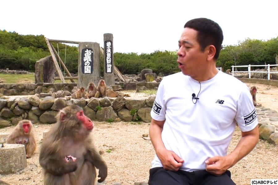小豆島のボス猿と漫才を披露する！？ＦＵＪＩＷＡＲＡ原西