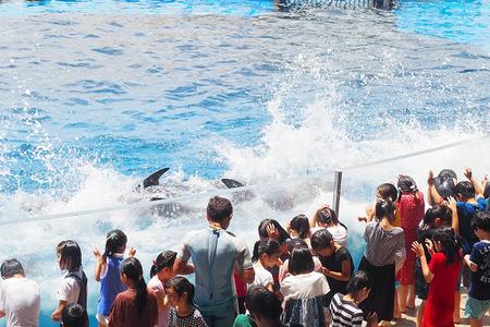 　イルカのアクションから上がる激しい水しぶきでびしょ濡れになる子どもたち（１０日・京都水族館）