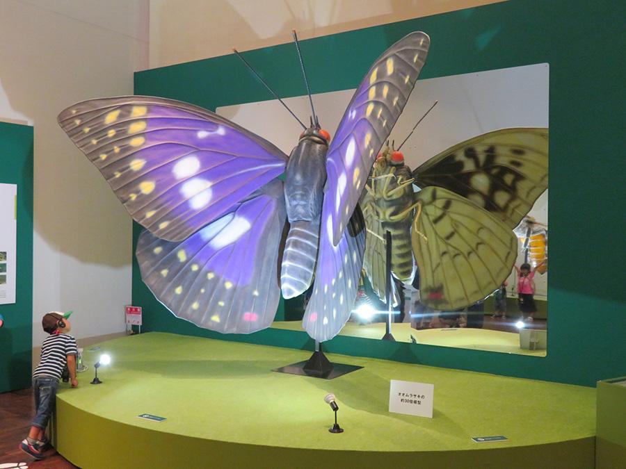 特別展「昆虫」会場風景。子どもたちも笑顔で記念撮影