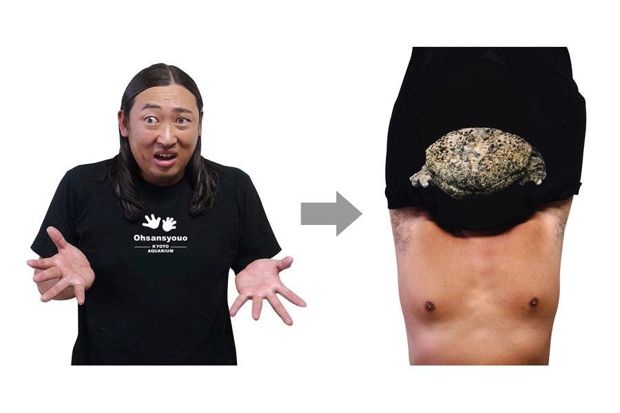 　「体モノマネＴシャツ ＢＯＴＹ オオサンショウウオ（３７８０円／Ｍ・Ｌ・ＸＬ）
