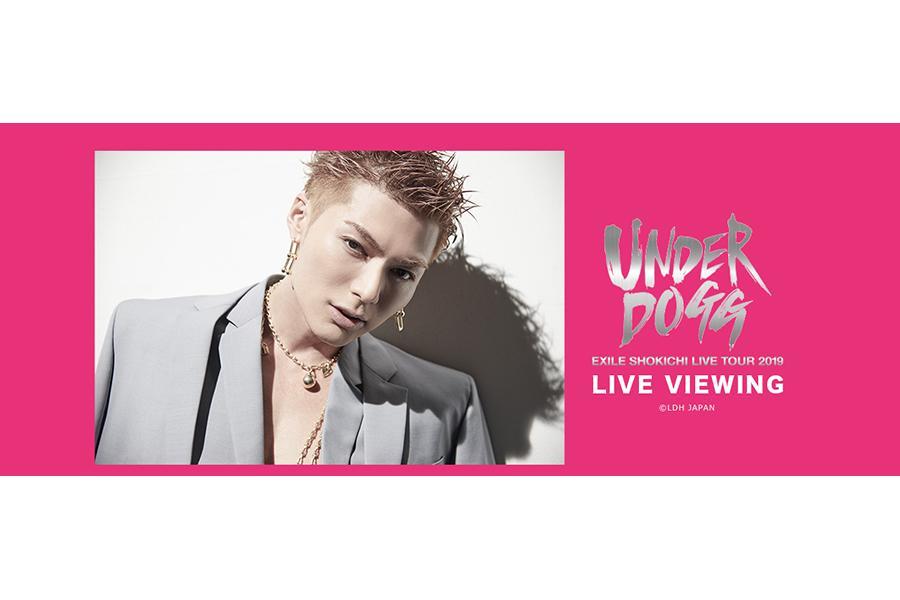 　ソロ初のアリーナ・ツアーを開催中のＳＨＯＫＩＣＨＩ