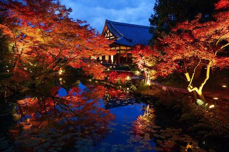 　水面に映る紅葉／紫雲の庭