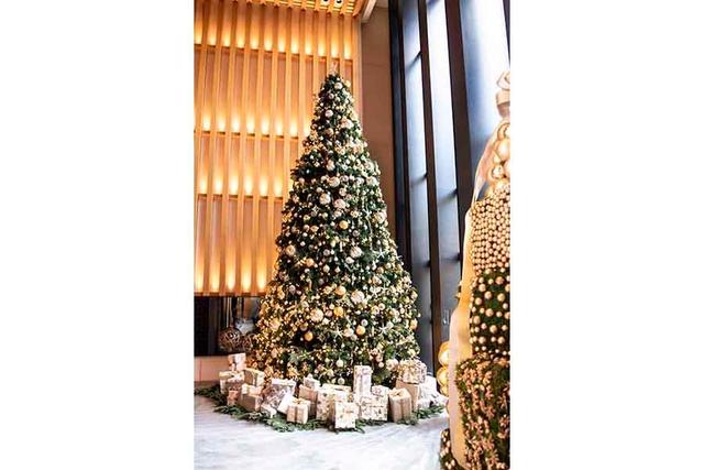 ニコライ バーグマン監修 ６メートルのクリスマスツリーが京都のホテルに登場 関西 芸能 デイリースポーツ Online