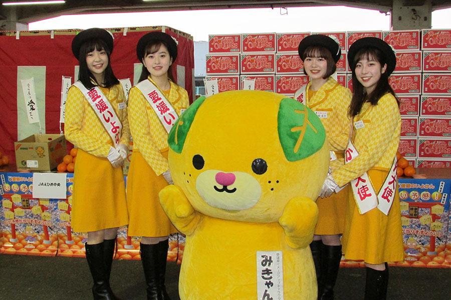 愛媛いよかん大使 大阪の市場でアピール ぜひ いい予感 掴んで 関西 芸能 デイリースポーツ Online
