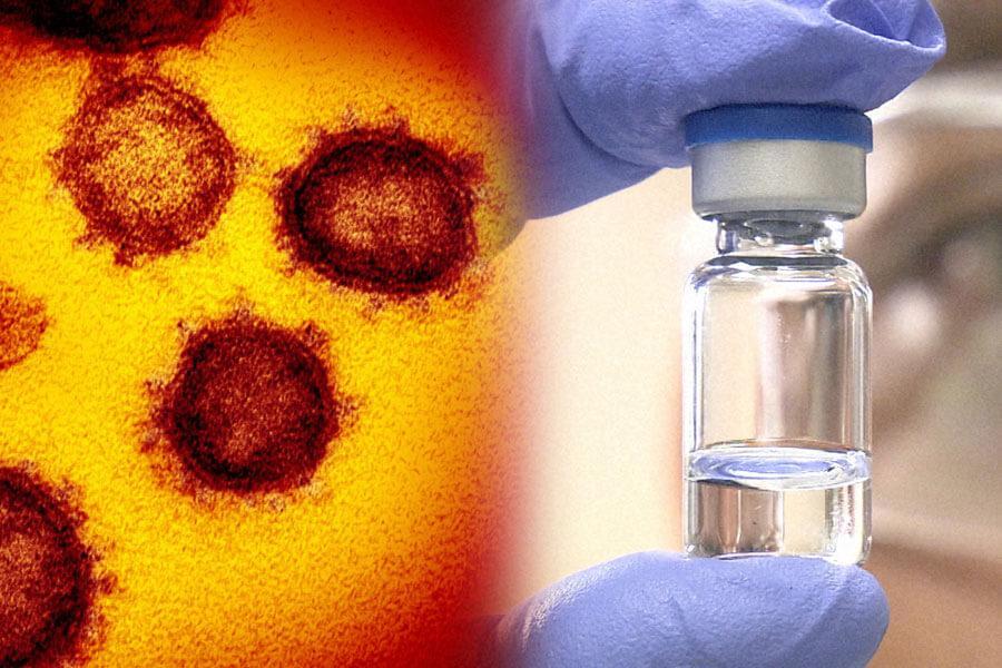新型コロナウイルスのパンデミック終息のカギを握るのは、治療薬とワクチンの開発。今こそ人類の英知と連携が問われている　提供：米国立アレルギー・感染症研究所
