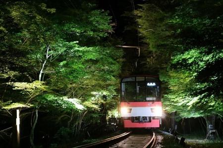 　ライトアップされた、青もみじのトンネルを通過する叡山電車（過去開催時の様子）