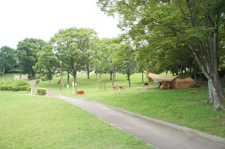 リニューアルした「大蓮公園（おおはすこうえん）」