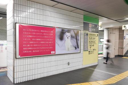 商品を一切宣伝しない 大阪の化粧品会社の話題 オコジョ 広告 狙いは 関西 芸能 デイリースポーツ Online