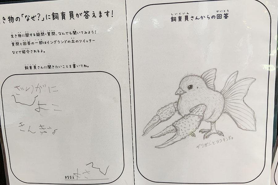 何でも答えてくれる 淡路島の飼育員さんと子どものやりとりにほっこり 関西 芸能 デイリースポーツ Online