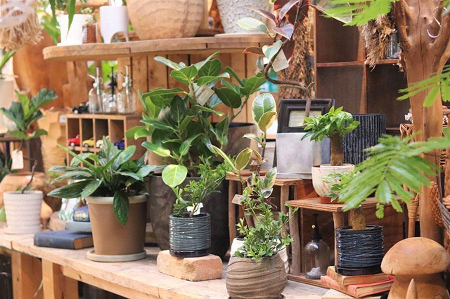 　注目のグリーンショップ 「ＳＯＷ ｔｈｅ Ｆａｒｍ ＵＮＩＶＥＲＳＡＬ」は３月１９日にオープン