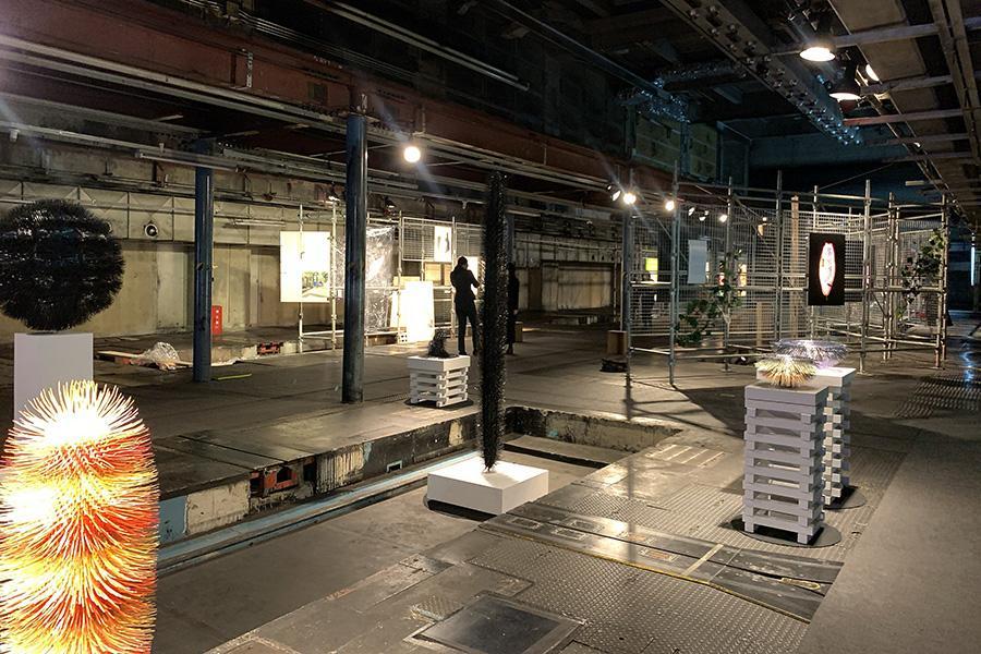 京都で登竜門を目指す現代アートフェア 最優秀賞が決定 関西 芸能 デイリースポーツ Online