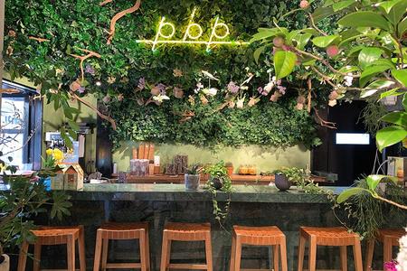 カフェ遣いしたくなる京都の花屋 名物は蘭のソフトクリーム 関西 芸能 デイリースポーツ Online