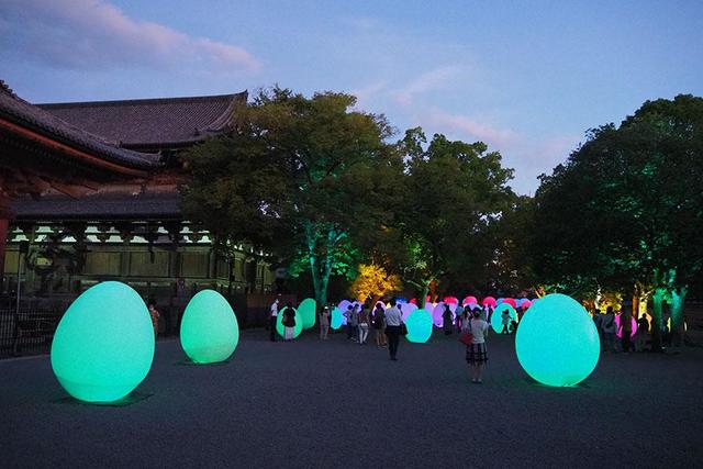 どこを見ても映える 変化する一期一会のアート 京都 東寺で夜限定イベント 関西 芸能 デイリースポーツ Online