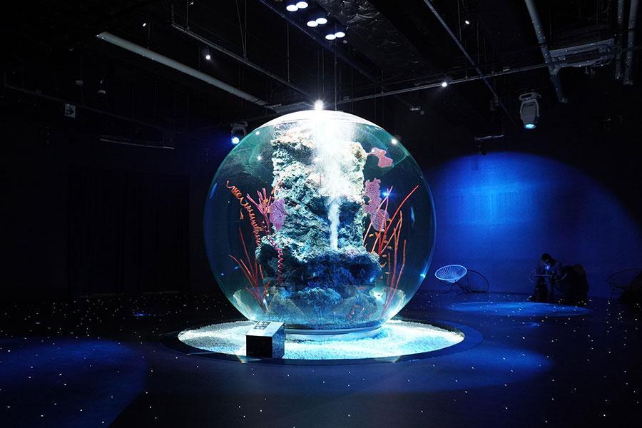 神戸に劇場型アクアリウム ａｔｏａ が誕生 アートとデジタルで差別化図る 関西 芸能 デイリースポーツ Online