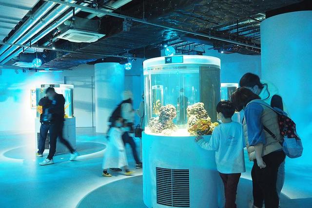 神戸の魅力をぎゅっと凝縮 港の新スポットがついにオープン 関西 芸能 デイリースポーツ Online 神戸の魅力をぎゅっと凝縮 港の新スポットがついにオープン 関西 芸能 デイリースポーツ Online