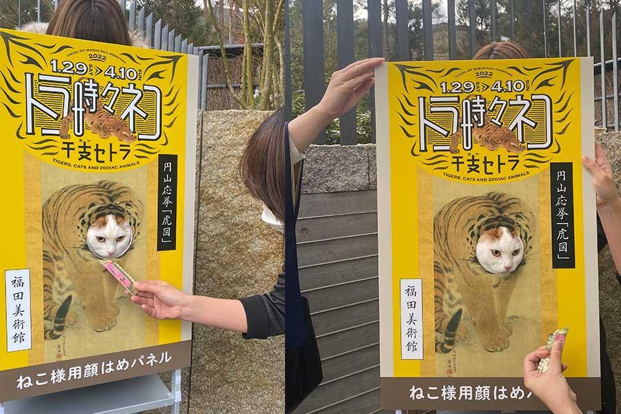 癒やし…「猫様用」顔はめパネルが美術館に、SNSでも投稿続々/関西 