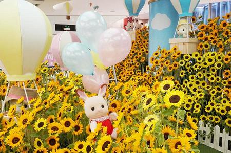 　１万６０００本のひまわりが圧巻すぎる「ホワイティうめだ」サニーテラス（ヘップファイブ周辺）（８日・大阪市北区）